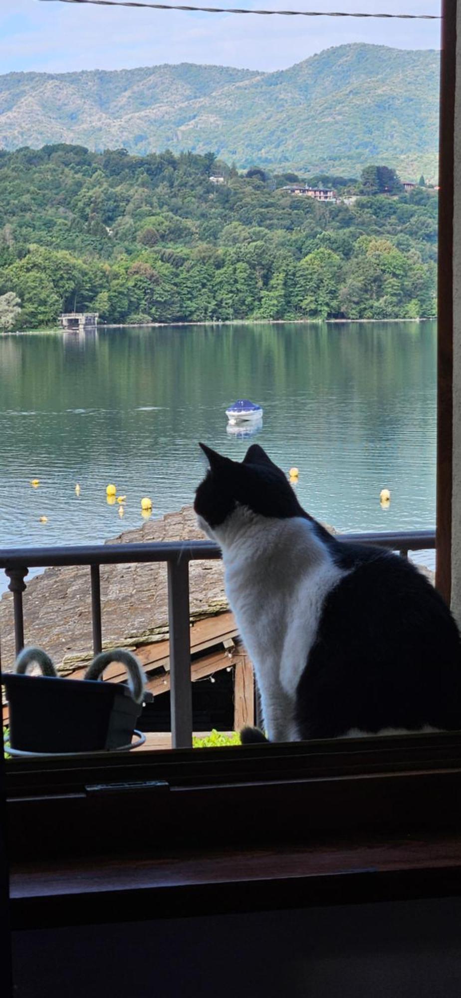 La Baia D'Acquadolce Villa Bolzano Novarese Dış mekan fotoğraf